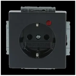 Busch-Jaeger Steckdose 2310 EUGL/VA-81-11