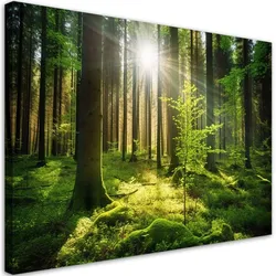 KUNSTDRUCK Grün 120/80 cm