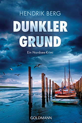 Hendrik Berg - Dunkler Grund: Ein Nordsee-Krimi - Ein Fall für Theo Krumme 7 - Preis vom 15.10.2026 23:06:25 h