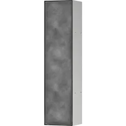 hansgrohe XtraStoris Rock Toilettenbürstenhalter, mit Ablage, befliesbare Tür, rahmenlos, 145x140x595mm, 56060800, Farbe: Edelstahl gebürstet