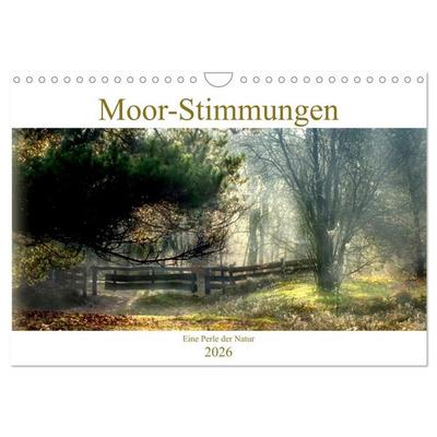 Moor-Stimmungen (Wandkalender 2026 DIN A4 quer), CALVENDO Monatskalender