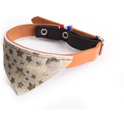 Martin Sellier Miami (30, Katze), Halsband + Leine