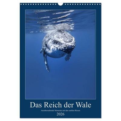 Im Reich der Wale (Wandkalender 2026 DIN A3 hoch), CALVENDO Monatskalender
