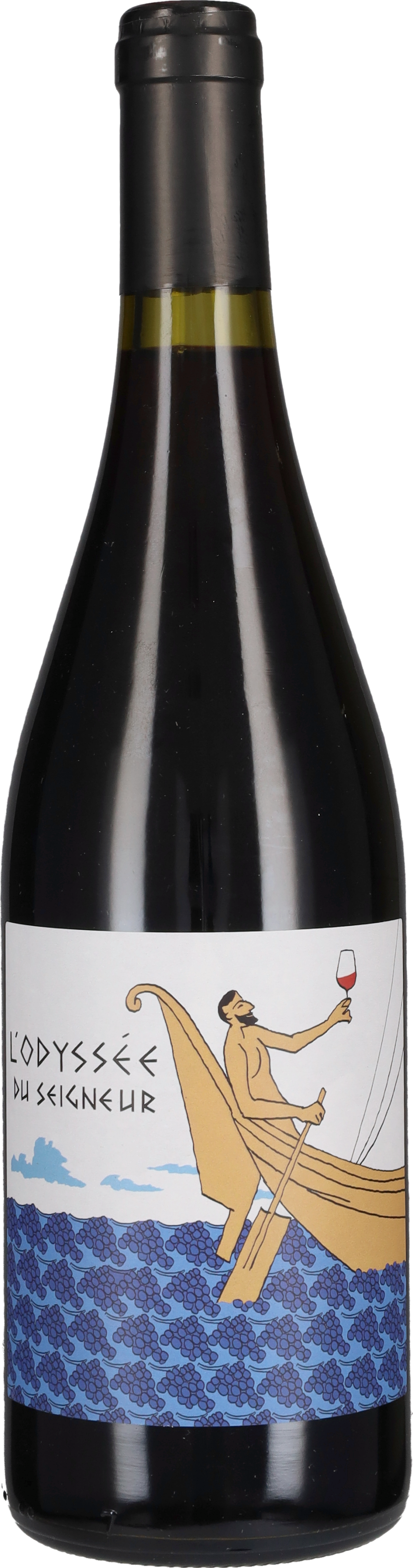 Domaine Duseigneur Cotes du Rhone Villages 'Odyssée' 2021