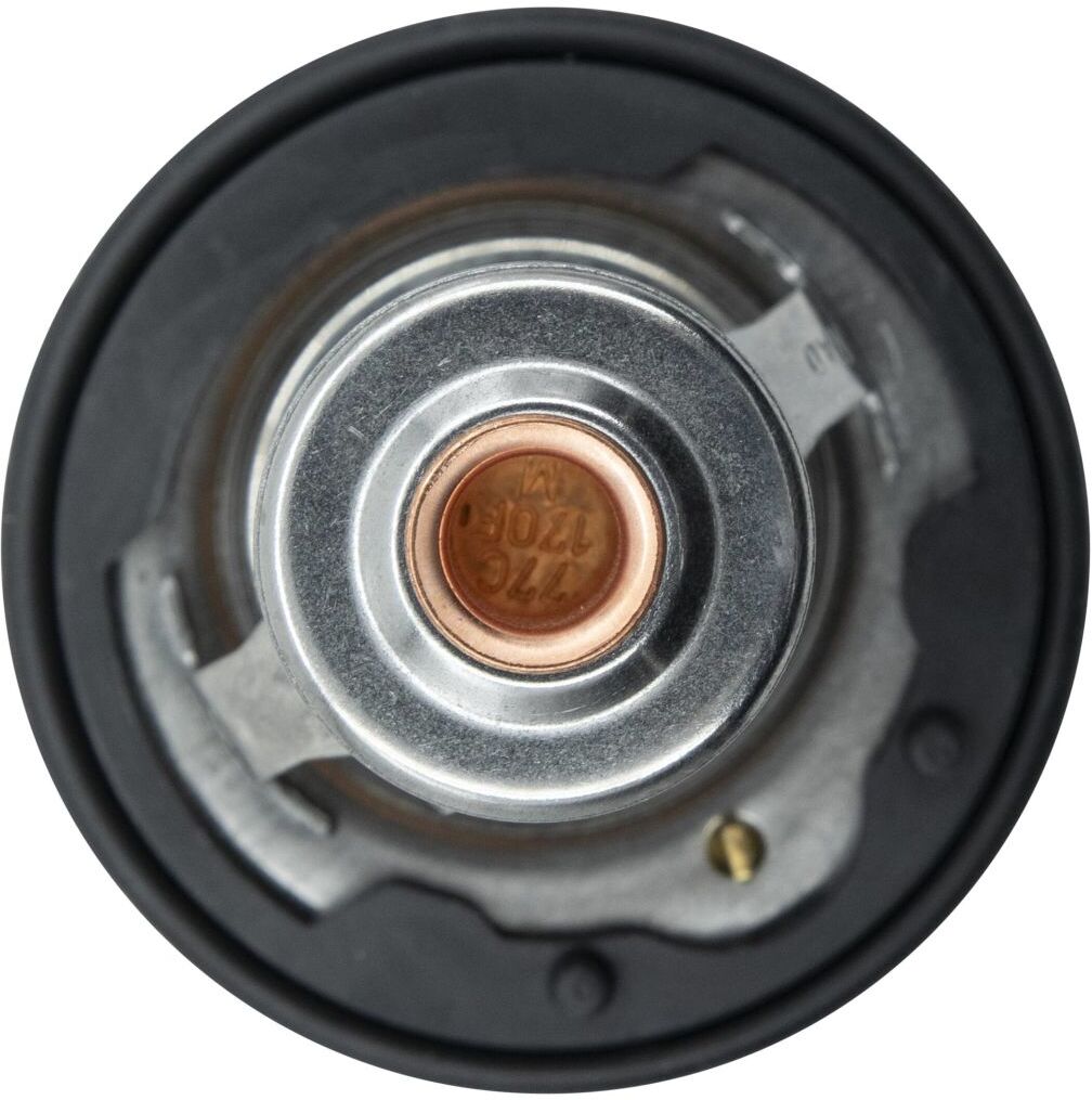Motorad Termostato, refrigerante 614-77K