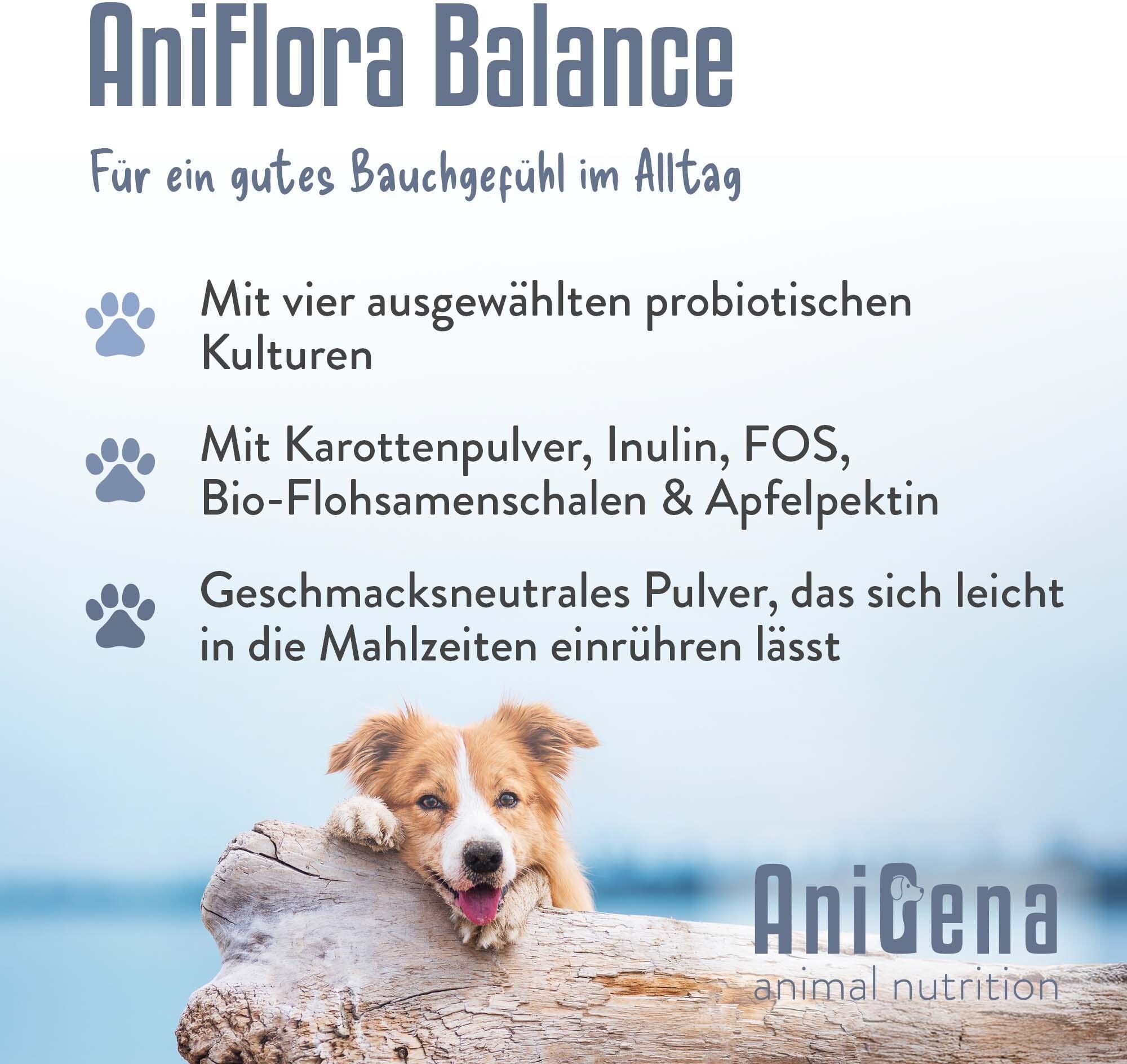 No Brand Aniflora Balance Flohsamensch.+Ballastst.Plv.Hunde 60 g Pulver