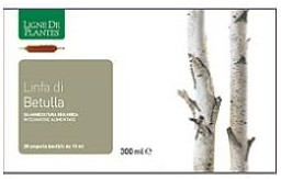NATURA SERVICE Srl Integratore Betulla - Linfa Bio 20 Ampolle da 15ml per Drenaggio e Depurazione