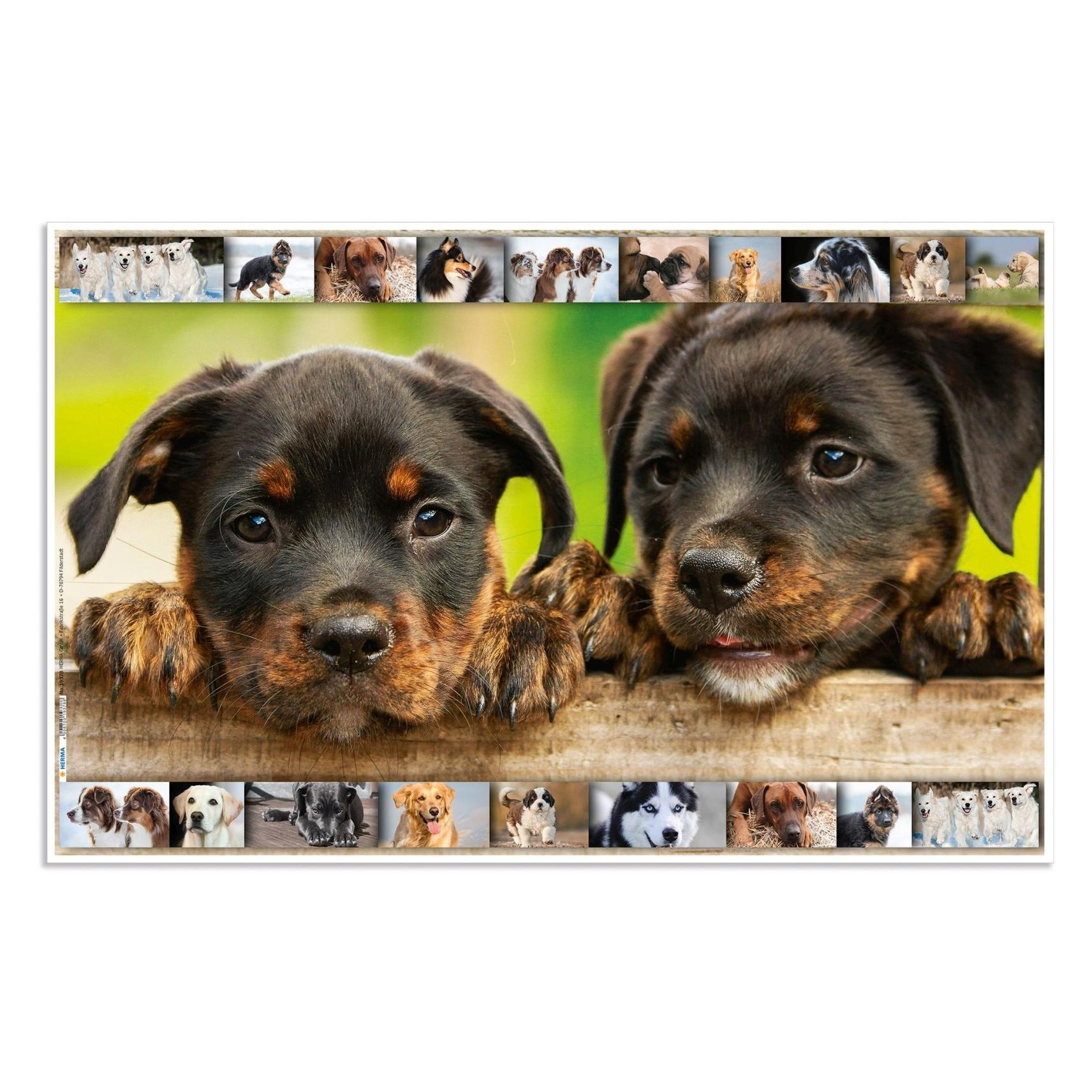 Herma 3 Schreibtischunterlagen Karton Hunde (55 x 35 cm) (19378)