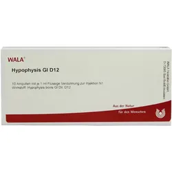 Hypophysis GL D 12 Ampullen 10X1 ml
