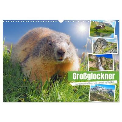 Großglockner wunderschöne Berg- und Tierwelt (Wandkalender 2027 DIN A3 quer), CALVENDO Monatskalender