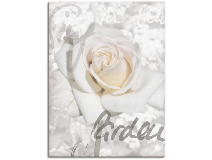 Wandbild ARTLAND In Lettern - Rose , weiss (farbe bild(er): weiß), B:60cm H:80cm, Bilder, Wandbild, als Leinwandbild, Poster in verschied. Grössen