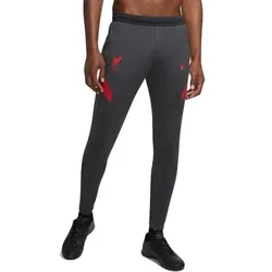 Nike FC Liverpool Strike Trainingshose grau/rot