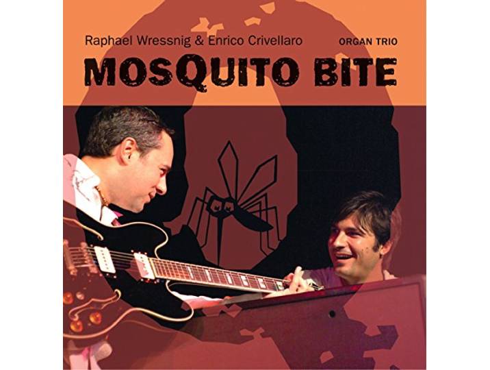 Mosquito Bite