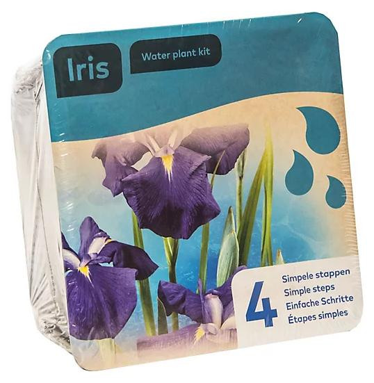 Moerings Blauwe Iris Vijverplant Droogverpakking