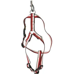 Arka Verstellbares Hundegeschirr (Hund, Spazieren), Halsband + Leine