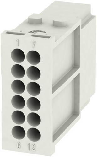 Weidmüller RockStar ModuPlug HDC MHD 12 MC Inhalt: 1 St. Modul