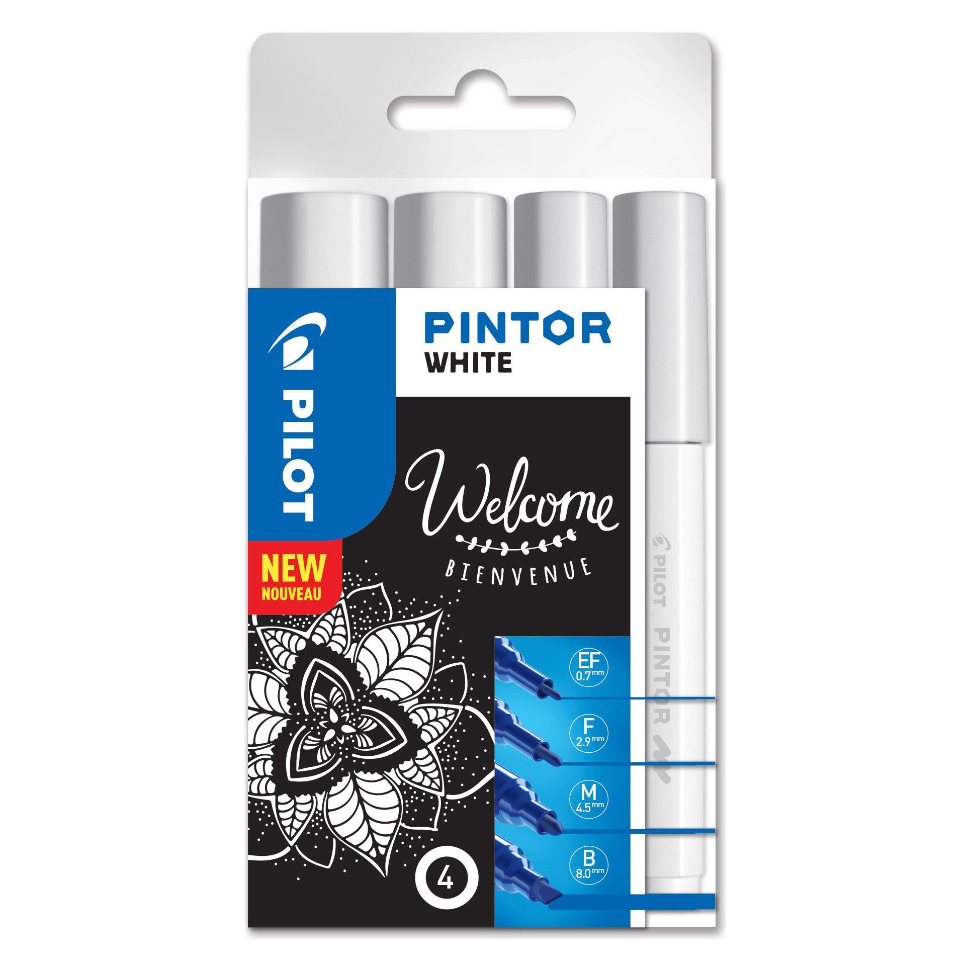Pilot Pintor Set à 4 (4x) (S4/0537465)
