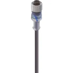 Belden Kabeldose RKT/LED A 4-3-224/2m