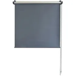 como Seitenzugrollo  Mini Rollo ¦ silber ¦ Synthetische Materialien ¦ Maße (cm): B: 70