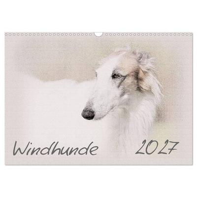Windhunde 2027 (Wandkalender 2027 DIN A3 quer), CALVENDO Monatskalender