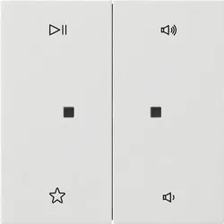 Gira Wippe 2f Audiostrg 5384112