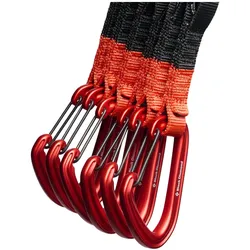 Black Diamond, Karabiner