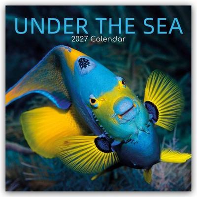 Under the Sea – Tropische Fische 2027 – 16-Monatskalender