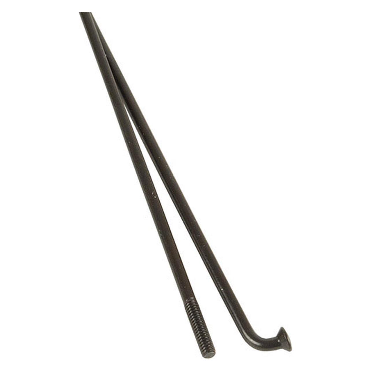 DT Swiss Champion M (SCH020296S0100)