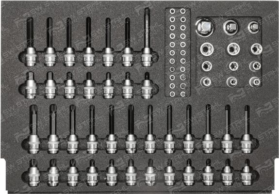 Swstahl Werkzeugmodul Z3000-17