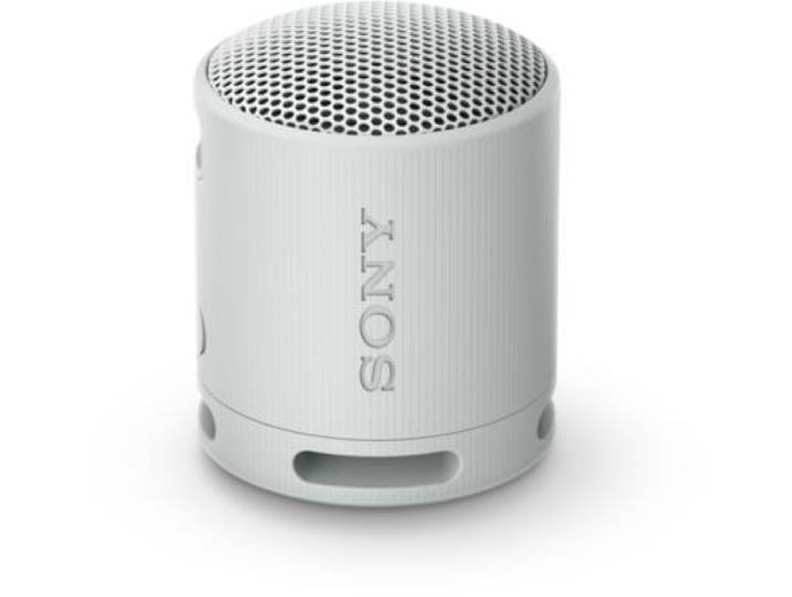 Sony - Enceinte Portable Srs-Xb100 Gris Perle