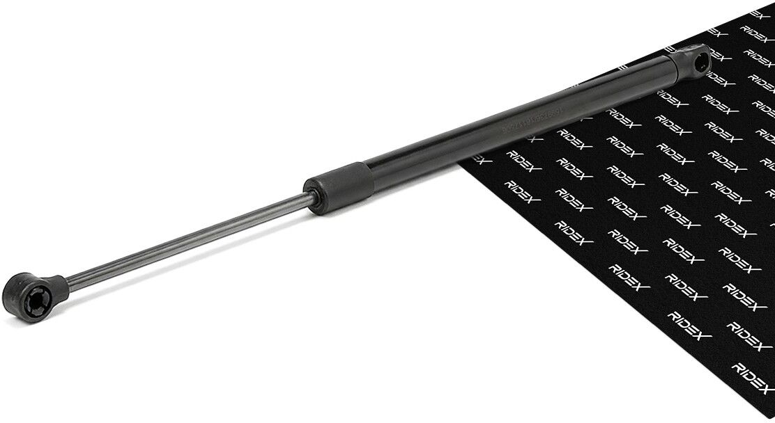 RIDEX 219G0969 Tailgate strut