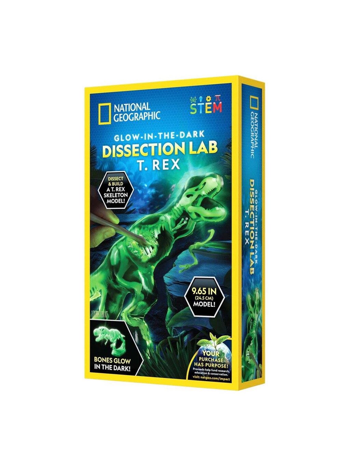 National Geographic Dissection Lab T. Rex