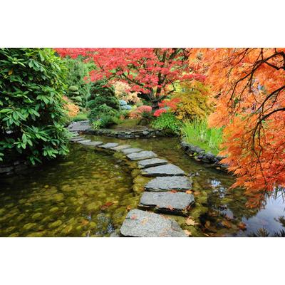 Fototapete PAPERMOON "GARTEN-BÄUME BLUMEN PFLANZEN PARK STEINE WALD BLÜTEN", bunt, B:2m L:1,49m, Vlies, Tapeten