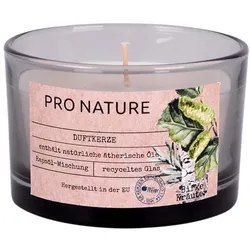 Pro Nature Duftkerze - 58x86mm Birke-Kräuter
