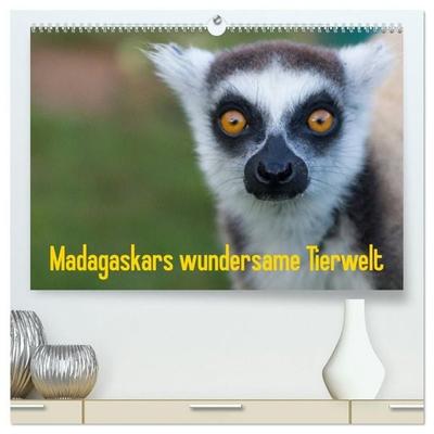 Madagaskars wundersame Tierwelt (hochwertiger Premium Wandkalender 2027 DIN A2 quer), Kunstdruck in Hochglanz