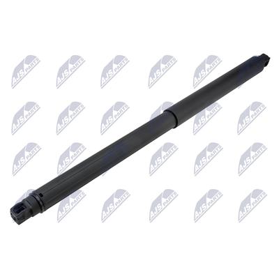 NTY Gasfeder, Koffer-/Laderaum AE-CH-060 für CADILLAC