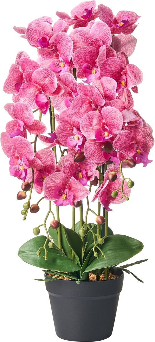Beliani Orchidee Kunstplant - Roze - 65 cm