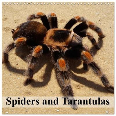 Spiders and Tarantulas (Wall Calendar 2027 12 × 12 Inch) CALVENDO 12 Month Wall Calendar