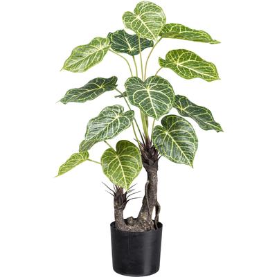 Kunstpalme CREATIV GREEN "Nephtytispflanze", grün, H:70cm, Kunstpflanzen, mit großen Blättern