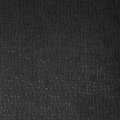 Graham & Brown Serpentine Black Wallpaper