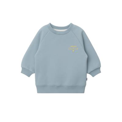 Sweatshirt LILIPUT "Schulkind", Jungen, Gr. 110/116, hellblau, 80% Baumwolle, 20% Polyester, bedruckt, normal, Rundhals, Sweatshirts Sweatshirt, mit dezentem Druck