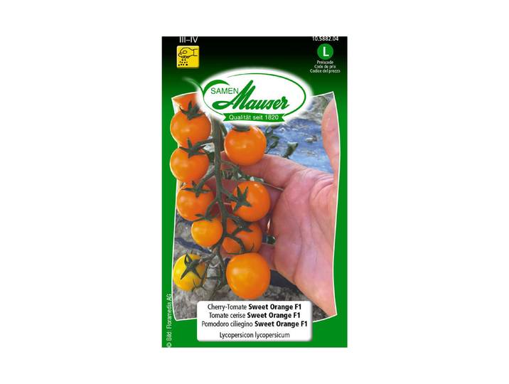 Samen Mauser Cherry Tomato Sweet Orange