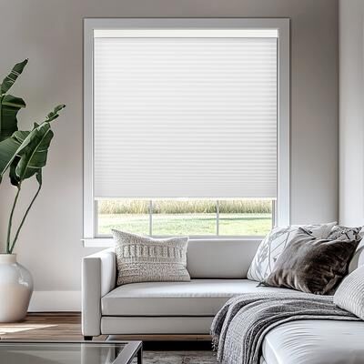 Chicology Cordless Light Filtering Cellular Shade Insulated Honeycomb