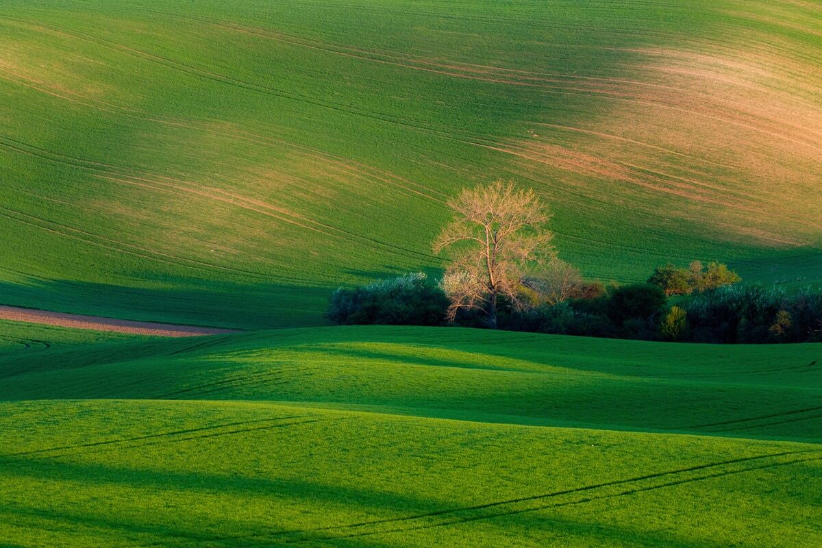 Fototapete PAPERMOON "Feld mit Hütte", bunt, B:3m L:2,23m, Vlies, Tapeten, Fototapete bunt B/L: 3m x 2,23m, Bahnen: 6 Stk.