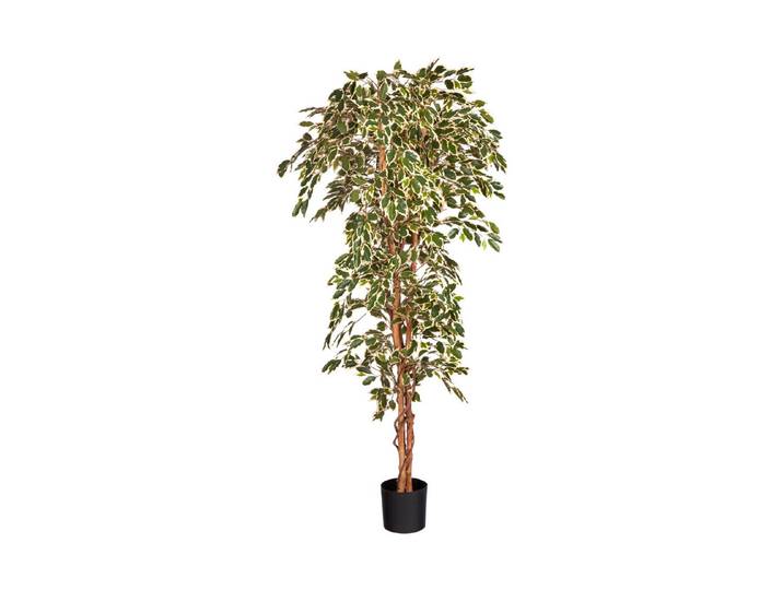 Mica Künstlicher Ficus im Topf Grün 100 × 210 cm
