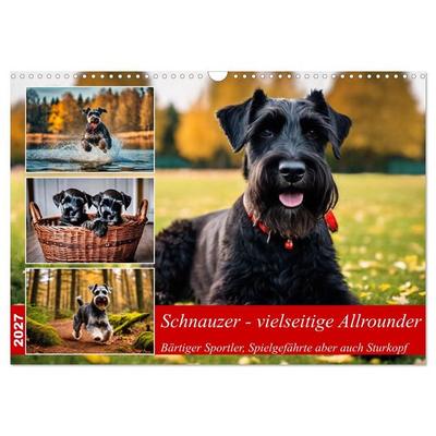 Schnauzer - vielseitige Allrounder (Wandkalender 2027 DIN A3 quer), CALVENDO Monatskalender