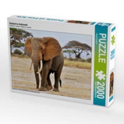 CALVENDO Puzzle Elefant in Amboseli | 2000 Teile Lege-Größe 90 × 67 cm Foto-Puzzle für glückliche Stunden