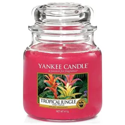 Tropical Jungle 411g