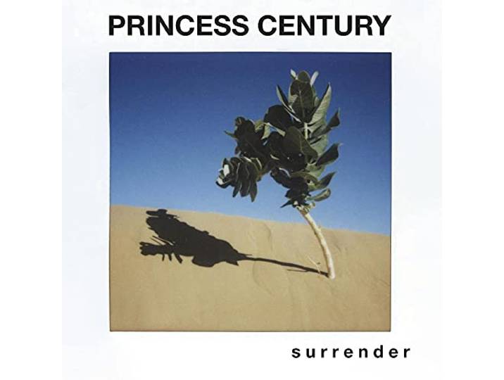 Surrender