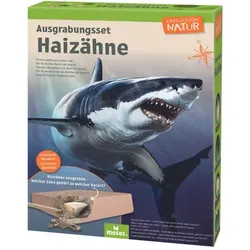 Moses Expedition Natur Ausgrabungsset Haizähne